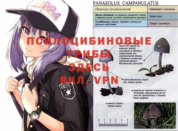 гашиш Свободный