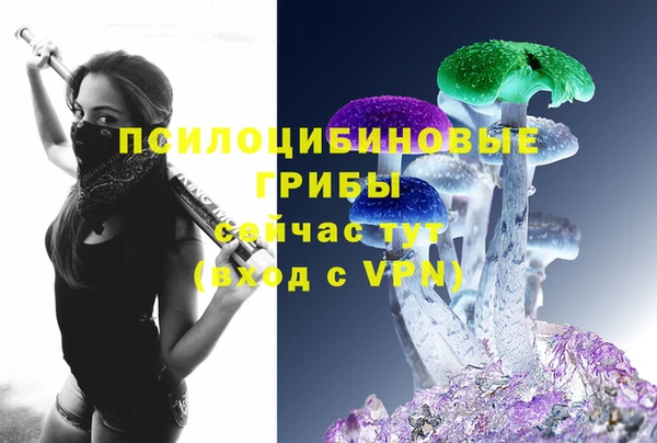 mix Себеж