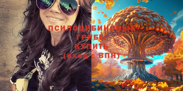 не бодяженный Магас