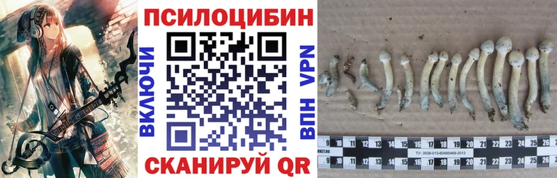 Псилоцибиновые грибы прущие грибы  где продают наркотики  Сосновоборск 