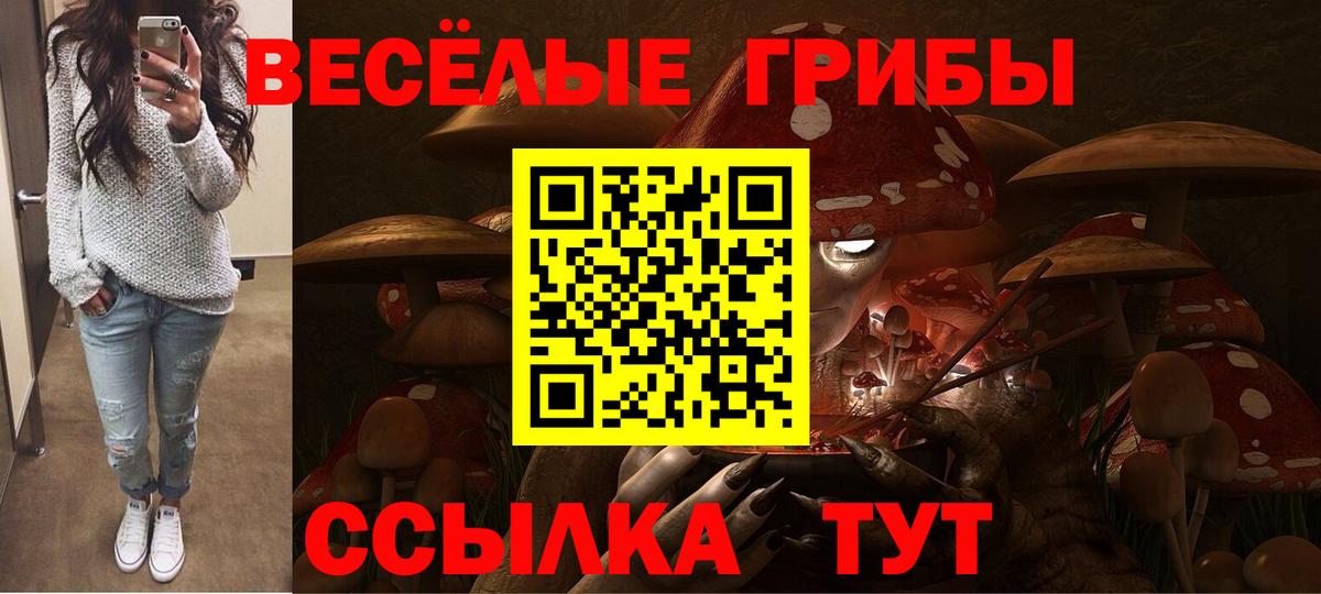 Сосновоборск  Галлюциногенные грибы Psilocybine cubensis  Вход с VPN  Псилоцибиновые грибы Psilocybe 